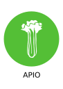 Alérgeno_Apio